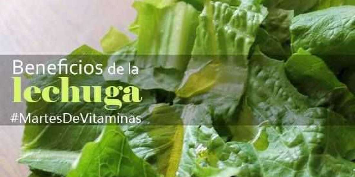 Té de romero: para qué sirve, 10 beneficios + receta