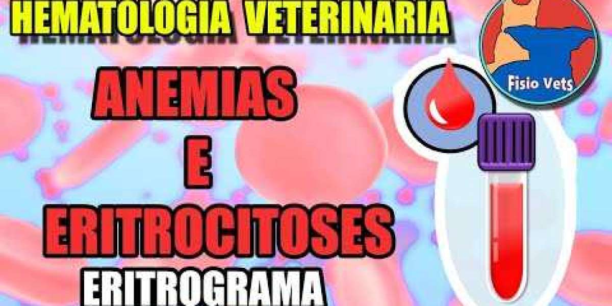 Insuficiencia cardíaca en perros Síntomas y tratamiento