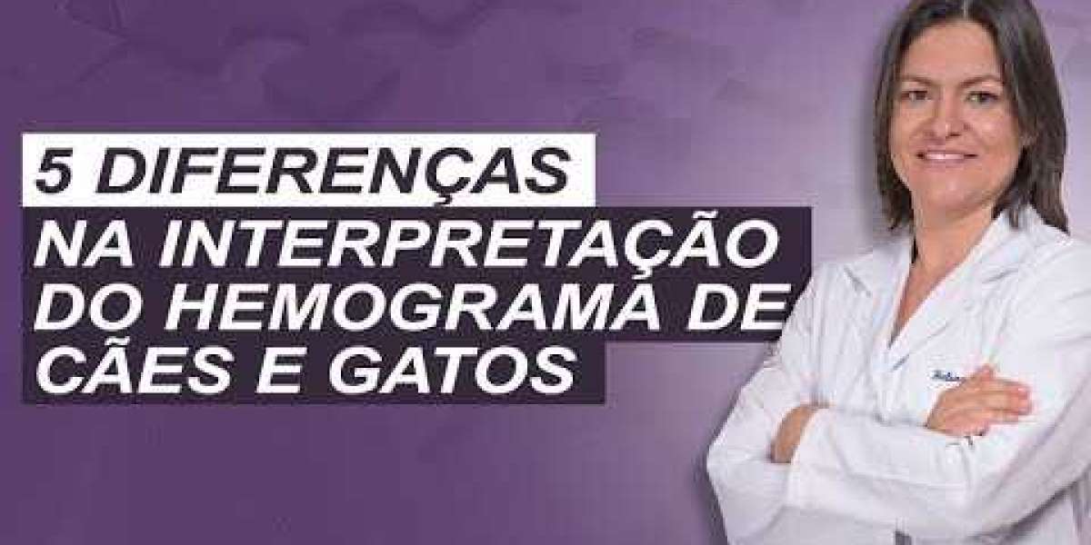 O que é radiologia veterinária? Conheça mais essa técnica!