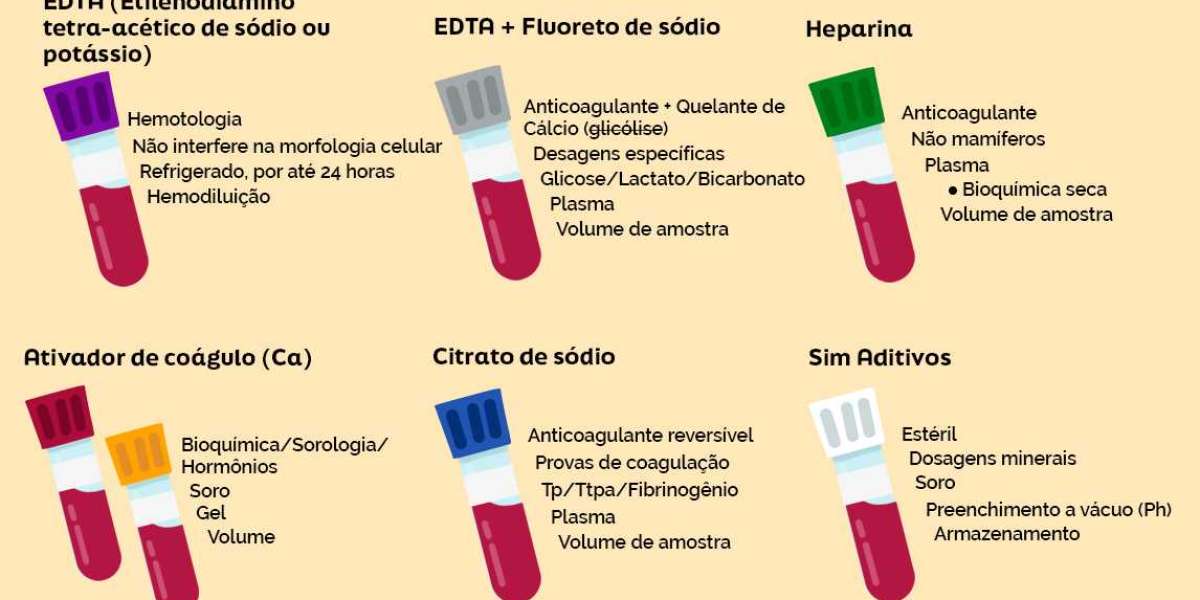 Cultura e Antibiograma: Essenciais para o Cuidado da Saúde do Seu Animal de Estimação