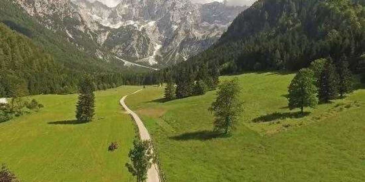 If CoStar's Servers were Located Off-site