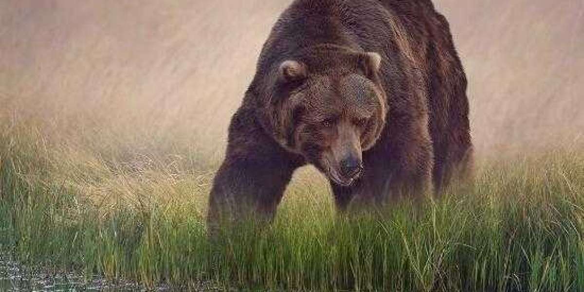 Sunshine Stars Manager Succumbs 16 Days After Gunmen Attack