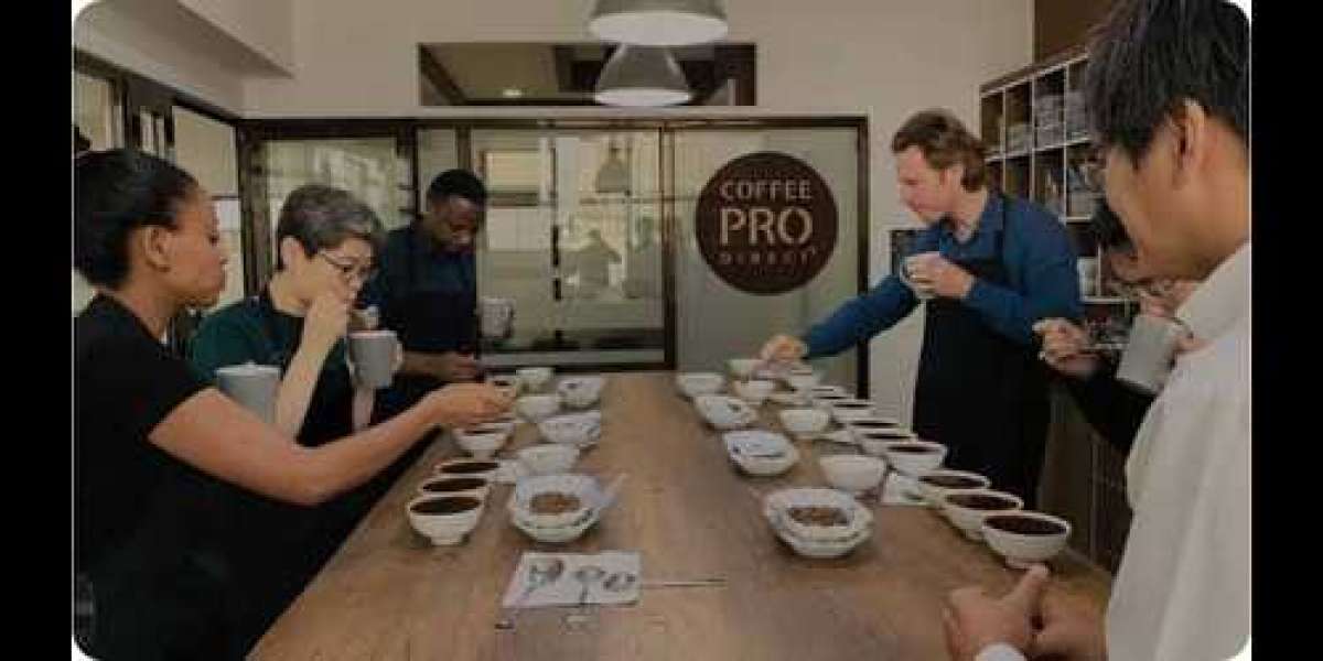 Coffee Sample Divider | Coffee Pro Direct