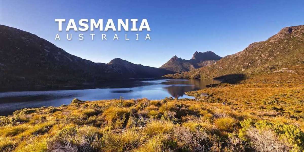 How to Choose the Best Migration Agent in Tasmania for PR, Student & Work Visas in 2026