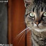 Dejah Johns Profile Picture
