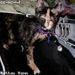 Luna Rosenbaum Profile Picture