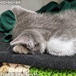 June Nikolaus Profile Picture