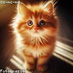 Rosalyn Reynolds Profile Picture