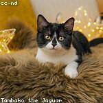 Raymond Fahey Profile Picture