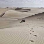 Alek Stiedemann Profile Picture