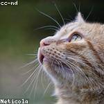 Alexandrea Pollich Profile Picture