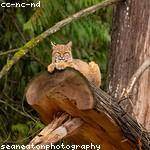Willard Bernhard Profile Picture