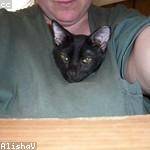 Virgie Harris Profile Picture